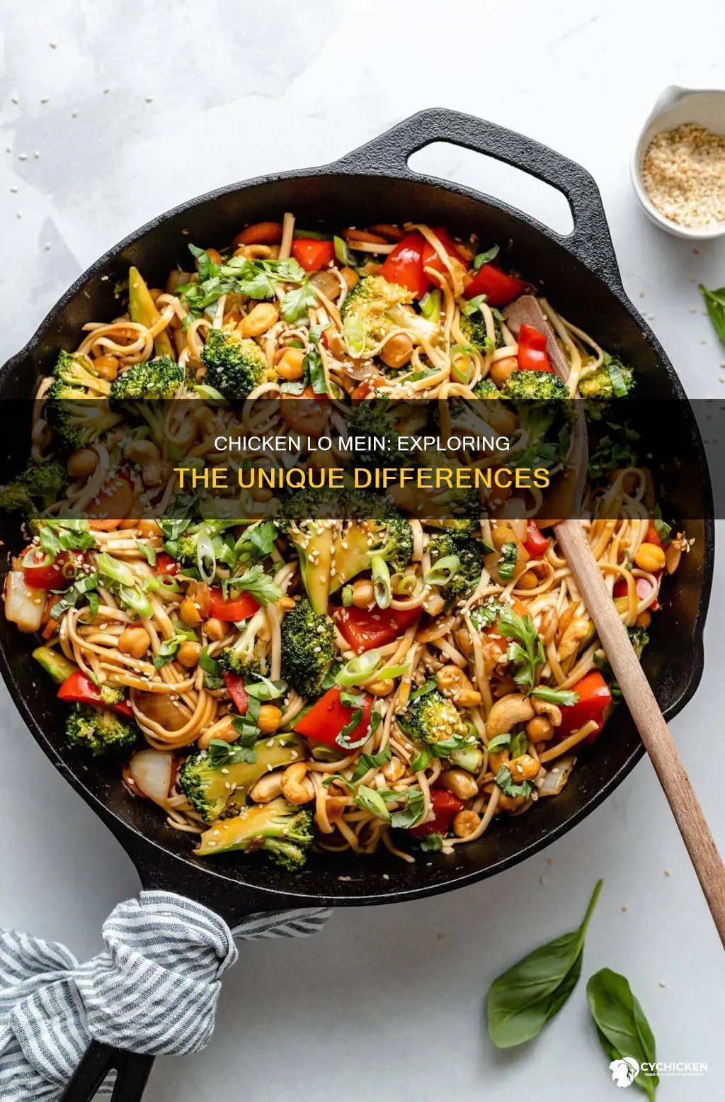 Chicken Lo Mein vs. Chow Mein: Your Saucy Noodle Guide